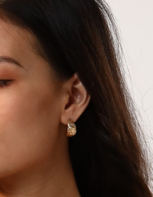 Gold Crescent Hoop Earrings